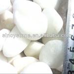 Tumbled white pebble stone Sino-002