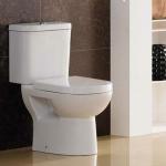 two-piece Toilet 065A