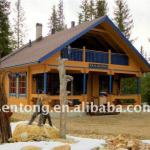 Two-storey Family Prefab Wooden Villa STK038