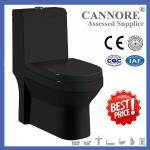 Unfading Black Color one piece toilet CS5002