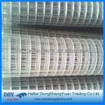 Used for fence Ordinary weaving type welded wire mesh roll(nice service,welcome) DSY-BD1