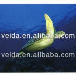 VEIDA Sponge PVC Flooring/Vinyl PVC Flooring 2.2MM/ PVC FLOORING PICTURES Veida Wei&#39;er Series