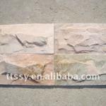 Wall mushroom stone tile TTS-MU016