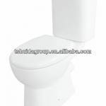 Washdown close-coupled toilet HDC396P/HDS396