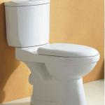 washdown two piece toilet/economic toilet/WC/toliet T-3025