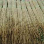 water reed for thatching roof YS WR 19