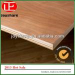 Waterproof Plywood, Concrete Shuttering Plywood for Construction,Phenolic Plywood Board from shandong js18654