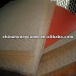 waterproof white plastic polypropylene honeycomb panel for building material PP8/10/12