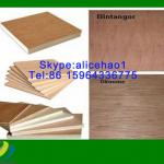 WBP Glue 4x8 Commercial Veneer bintangor Plywood for Construction HL-pl