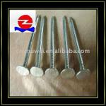 Well Coil nails clout head galvanized nails supplier 2.8-3.2mm