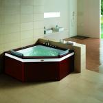 Whirlpool bathtub Twin Massage bathtub for 2 people FS-0503 ABS Material with CE/ISO/ETL FS-0503