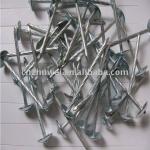 with high quality and competitive price Galvanized umbrella roofing nails 8G-13G