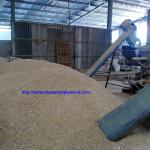 WOOD SAWDUST TP 009