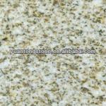 yellow granite stone T-030